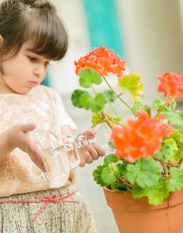 Caraffa Alladin - Basic - 4