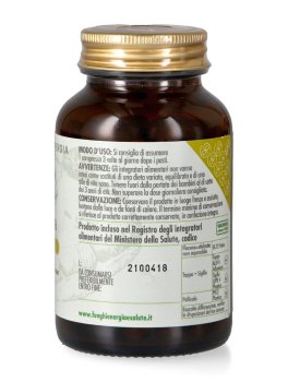 Chaga Plus - Formula Potenziata - 2
