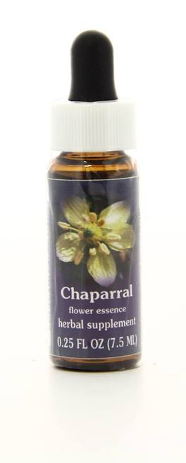 Chaparral - Fiori Californiani - 1