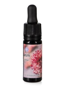 Elm - Dose - 1