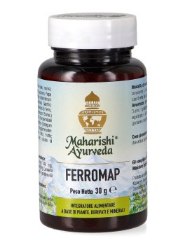 Ferromap - 1