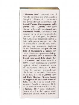 Ficus Carica Gemmoderivato Concentrato - Gemmo 10+ ® - 4