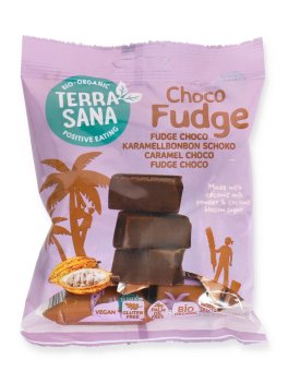 Fudge al Cacao Biologico - 1