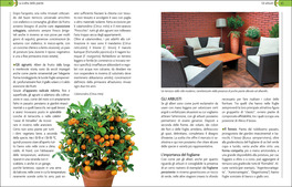 Giardini in Vaso sul Balcone e Terrazzo — Libro - 3