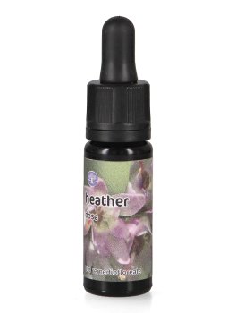 Heather - Dose - 1