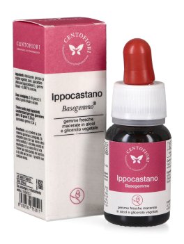 Ippocastano - Basegemmo - 1