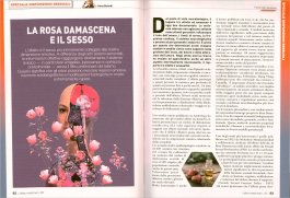 L'Altra Medicina N. 161 - Luglio 2026 — Rivista - 3