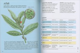 La Difesa dell'Orto — Libro - 3