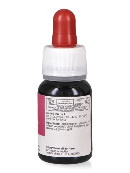 Lampone - Basegemmo - 3