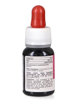 Lampone - Basegemmo - 4