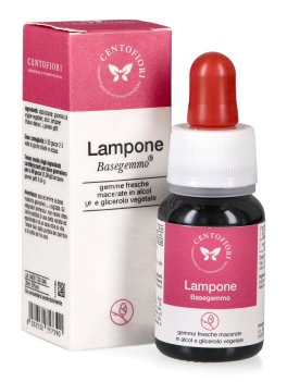 Lampone - Basegemmo - 1