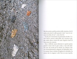 Mare Mosso — Libro - 3