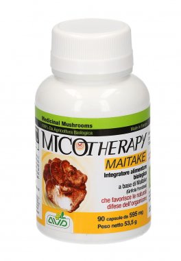 Micotherapy - Maitake - 1