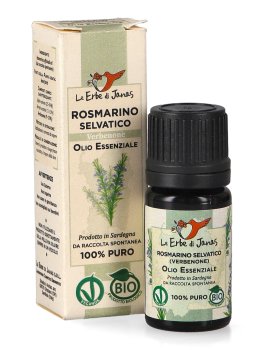 Olio Essenziale di Rosmarino Selvatico Bio - 2