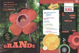 Piante da Record — Libro - 3