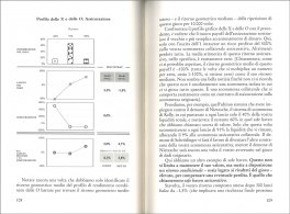 Safe Haven — Libro - 3