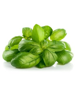 Semi di Basilico Aromatico della Riviera Ligure Bio - 1