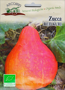 Semi di Zucca Red Kuri - BU095 - 3