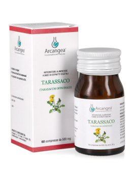 Tarassaco - 1