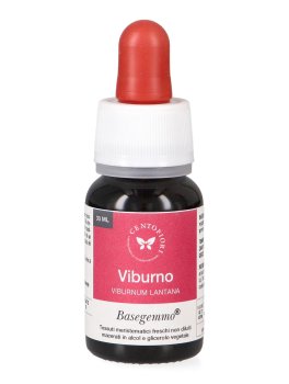 Viburno - Basegemmo - 2