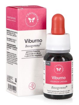 Viburno - Basegemmo - 1
