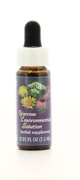 Yarrow Environmental Solution - Fiori californiani - 1