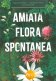 Immagine prodotto