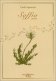 Immagine prodotto