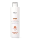 Base Shampoo