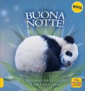 Buona Notte! — Libro