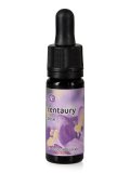 Centaury - Dose