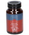 Chaga