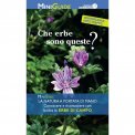 Che Erbe sono Queste? — Libro