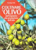 Coltivare l'Olivo - Dall'Impianto alla Produzione dell'Olio — Libro