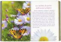 Come Guarire un Cuore che Soffre  — Libro