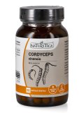 Cordyceps Sinensis