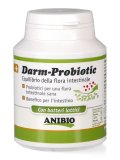 Darm Probiotic
