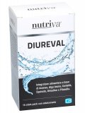 Diureval - Integratore a base di Ananas, Alga bruna, Centella, Equiseto, Ortosifon e Pilosella - Stick