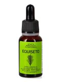 Equiseto - Estratto Idroalcolico da Pianta Fresca