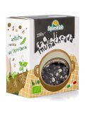 Fagioli Munachedda Bio