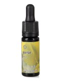 Gorse - Dose