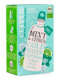 Infuso a Freddo Aromatizzato Biologico