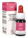 Lampone - Basegemmo