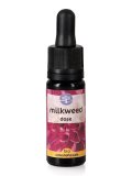 Milkweed - Fiori californiani - Dose