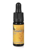 Mimulus - Dose
