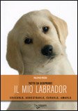 Il mio Labrador — Libro