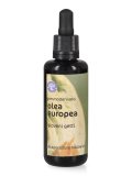 Olea Europaea - Gemmoderivato di Olivo - Giovani Getti