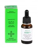 Ribes - MGS 16