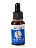Ribes Nero - Estratto Idrogliceralcolico da Pianta Fresca