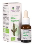 Ribes Nigrum PSC - Ribes Nero Gemme